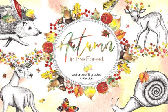 Autumn. Watercolor Graphic Set