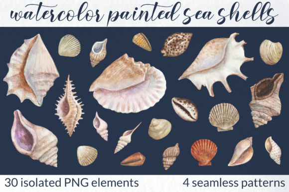 Watercolor Collection of Sea Shells: A Strategic Resource for Creatives and Professionals