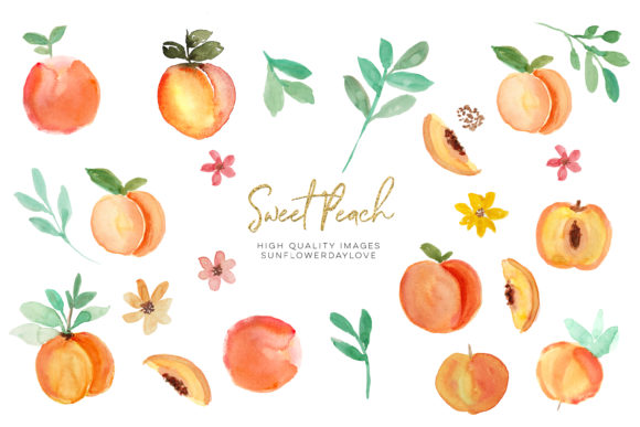Watercolor Peach Clipart: A Versatile Addition to Your Creative Projects